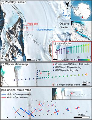 Tidal Modulation of a Lateral Shear Margin: Priestley Glacier, Antarctica